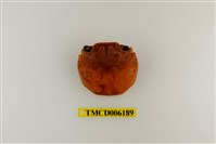 藏品(白紋方蟹)的圖片